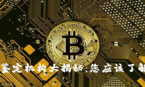 区块链在线鉴定机构大揭秘：您应该了解的五大平台